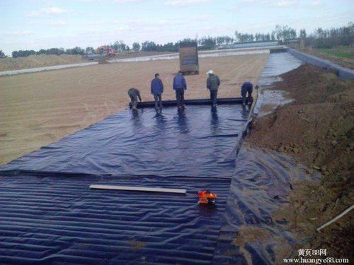 聚乙烯土工膜報價 廠家