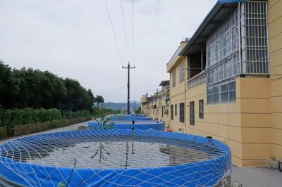 楊凌示范區科技讓陜西土特產&ldquo;火&rdquo;出圈