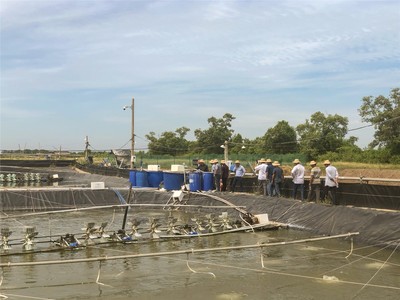 越南升龍:海大集團(tuán)國際化戰(zhàn)略的先行軍