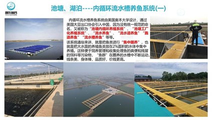 工廠化循環(huán)水養(yǎng)魚-智慧農(nóng)研(推薦商家)-工廠化養(yǎng)魚