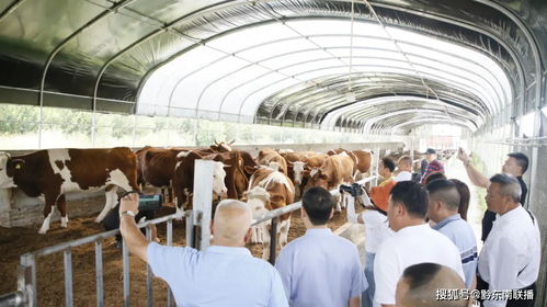 抗病 讓畜禽快速成長 徹底治理養(yǎng)殖場污染,這家企業(yè) 發(fā)明 養(yǎng)殖 黑科技