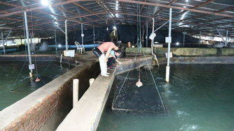 全國水產(chǎn)養(yǎng)殖尾水排放要求標(biāo)準(zhǔn)技術(shù)調(diào)研工作交流會(huì)在天馬科技集團(tuán)圓滿召開 天馬科技