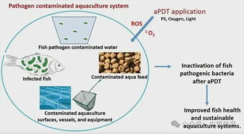 水產養殖出新利器 這項新技術,能夠改變整個養殖行業嗎