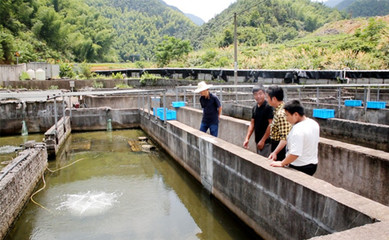 現代養殖人都用這個方法驅趕&ldquo;水質惡化&rdquo;這只&ldquo;攔路虎&rdquo;!