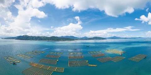 黃海水產研究所3項技術入選農業農村部2023年農業主推技術