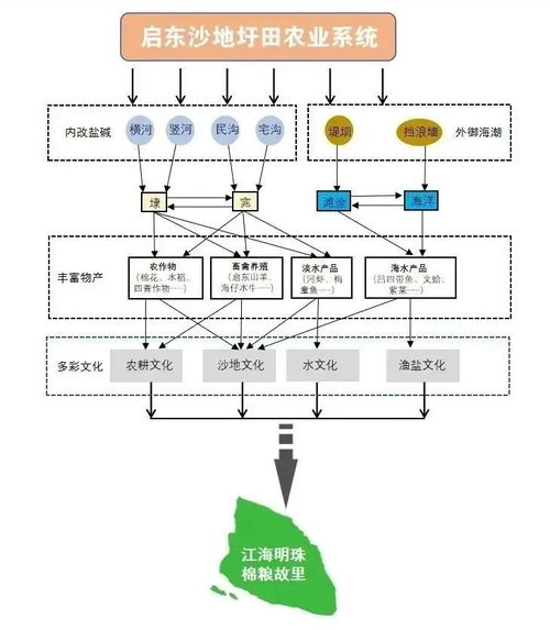 南通唯一 啟東上國家級