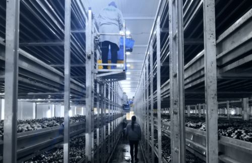 厲害了,閩寧鎮(zhèn)