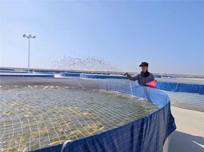 九原區特色種植養殖點亮鄉村振興新畫卷