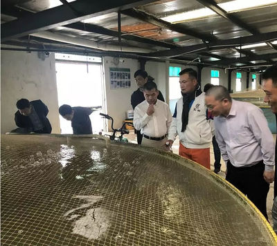 學習借鑒 | 72街餐飲集團組織團隊蒞臨仙泉湖養殖基地參觀指導!