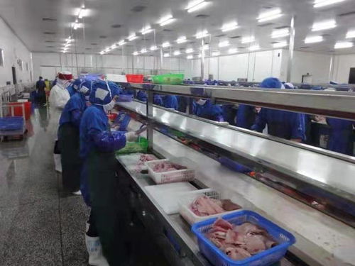 化州全力推動羅非魚產業由大市轉向強市，助力農家樂休閑觀光服務升級