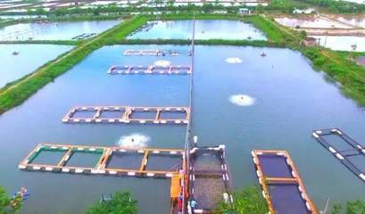 喜訊！斗門8家企業榮登省級水產養殖榜單，實力彰顯產業新高度