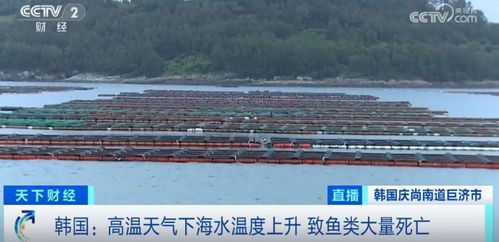 損失超1.5億元！魚類大量死亡重創水產養殖業，技術研發迫在眉睫